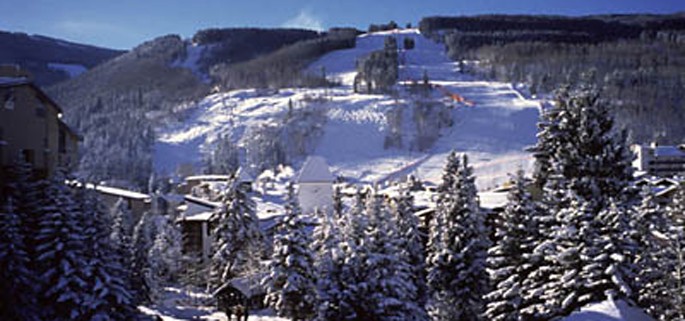 Vail Ski Chalets - Primary view